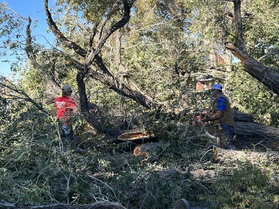 Wildfire Mitigation & Safety