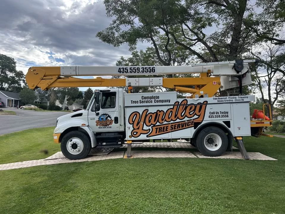 Tree Preservation & Health Care