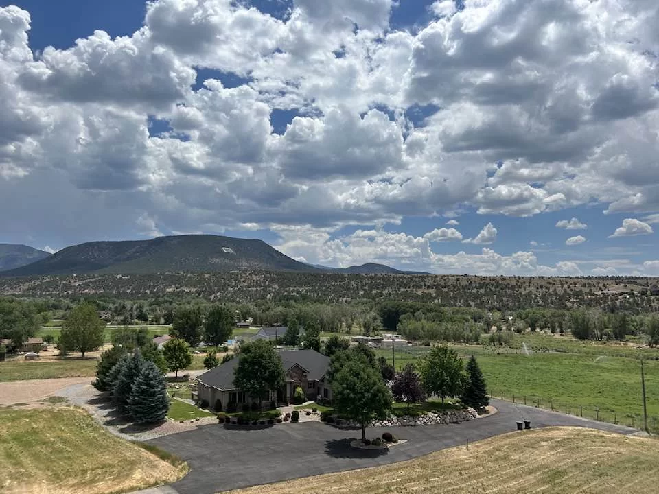 Tree Planting & Landscaping