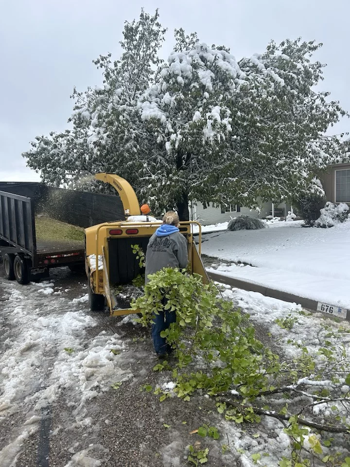 Residential Tree Services