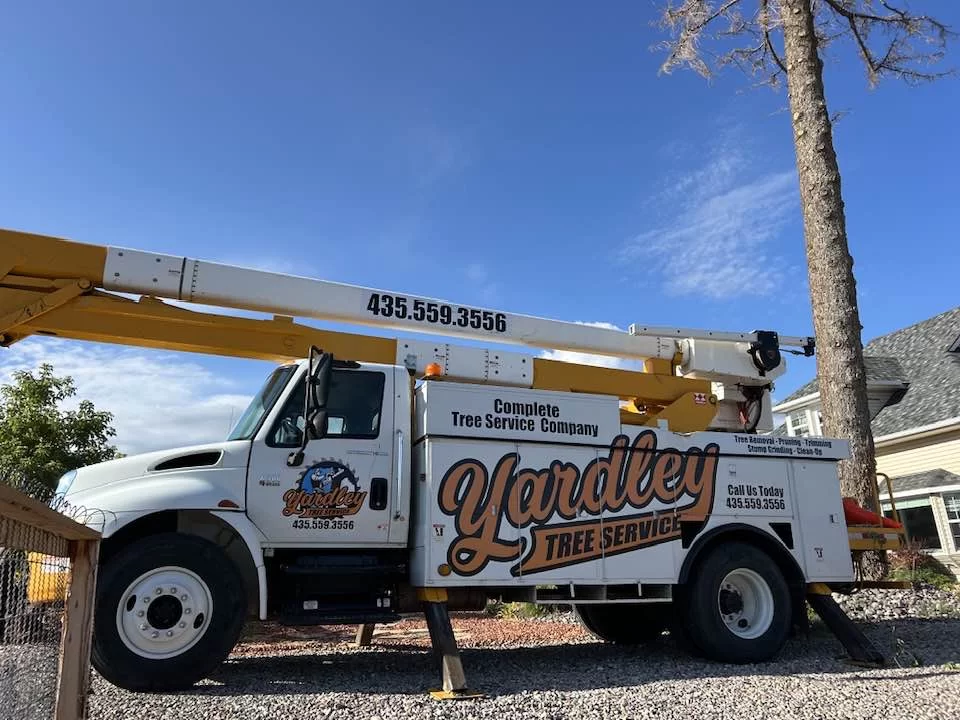 Consultation & Project Planning