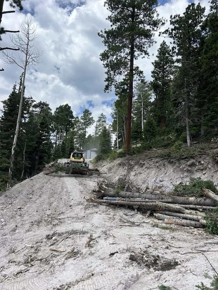 Storm Damage Cleanup