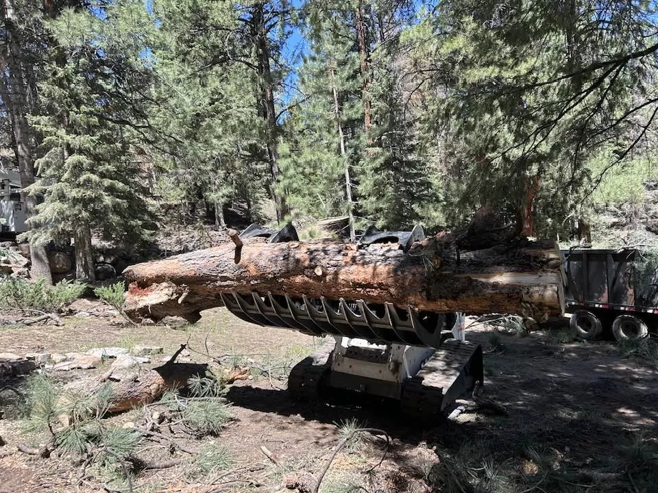 Lot Clearing & Land Preparation